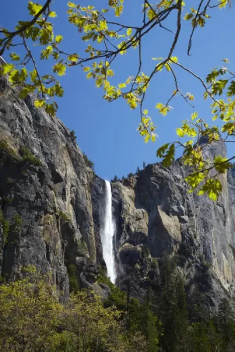 Framed Print : Bridalveil Fall, Yosemite Valley, Yosemite National Park, California, USA