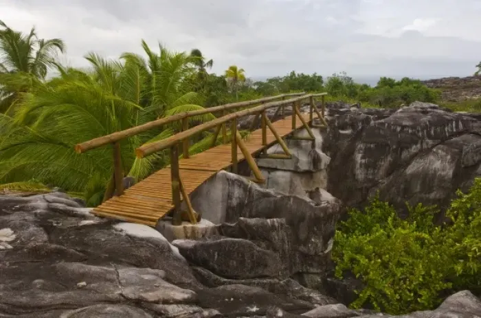 Framed Print : Bridge on nature walk on Fregate Island Framed Print : Bridge on nature walk on Fregate Island