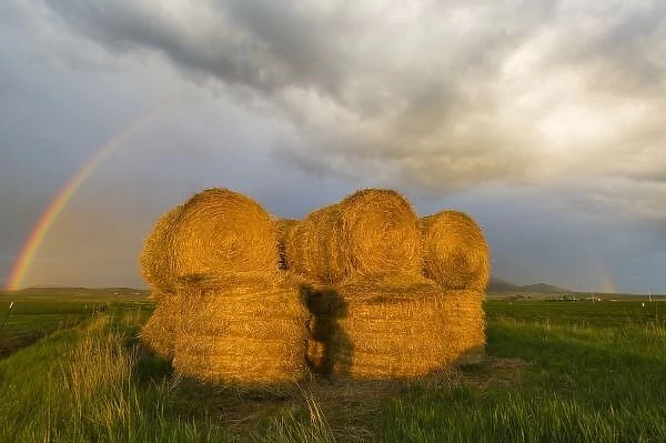 Briiliant rainbow over hay bales along the Judith Mountain Range near Lewistown Montana