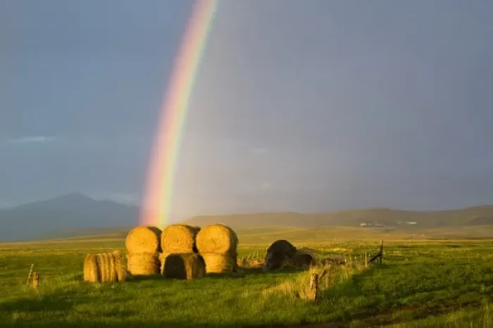 Framed Print : Briiliant rainbow over hay bales along the Judith mountain Range near Lewistown Montana Framed Print : Briiliant rainbow over hay bales along the Judith mountain Range near Lewistown Montana