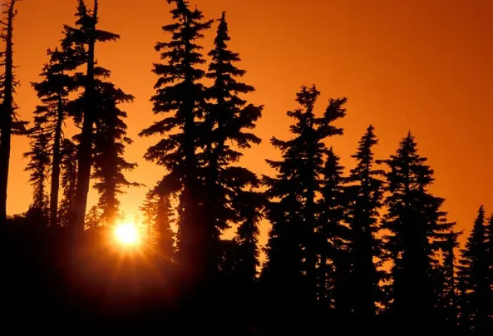 Framed Print : A brilliant orange sunset in the wilderness around Mt Jefferson in Oregon Cascades Framed Print : A brilliant orange sunset in the wilderness around Mt Jefferson in Oregon Cascades