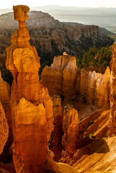 Framed Print : Bryce Canyon National Park, Bruce, Utah. Hoodoos Soldier and a Line of Hoodoos Warmed by Sunlight