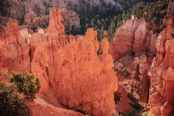 Framed Print : Bryce Canyon, National Park, Utah. Sunrise on Hoodoos windows at Bryce Canyon Framed Print : Bryce Canyon, National Park, Utah. Sunrise on Hoodoos windows at Bryce Canyon
