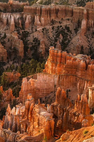 Bryce Canyon, National Park, Utah. Zig zag Hoodoos columns and fir trees in the canyon