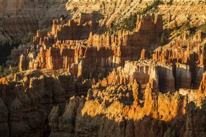 Framed Print : Bryce Canyon National Park, Utah. Golden sunlit wall of Hoodoos