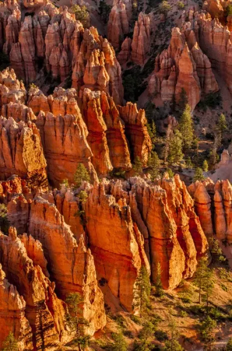 Framed Print : Bryce Canyon National Park Utah, USA