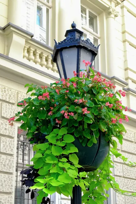 Framed Print : Budapest, Hungary. Quaint lamppost with flowers Framed Print : Budapest, Hungary. Quaint lamppost with flowers