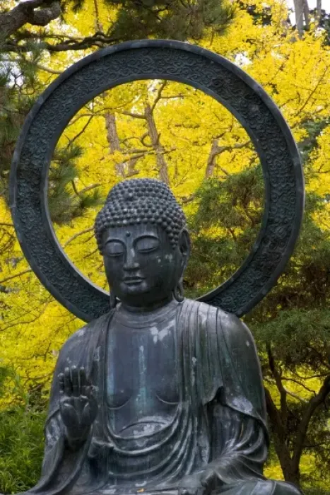 Framed Print : Budda Statue in the Japanese Gardens Golden Gate Park, San Francisco California
