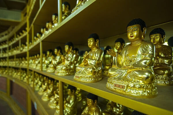 Buddha collection undeneath the Golden Maitreya Statue, Beopjusa Temple Complex