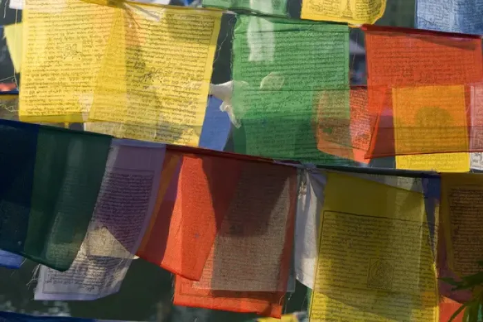 Framed Print : Buddhist prayer flags, Bodh Gaya, Bihar, India Framed Print : Buddhist prayer flags, Bodh Gaya, Bihar, India