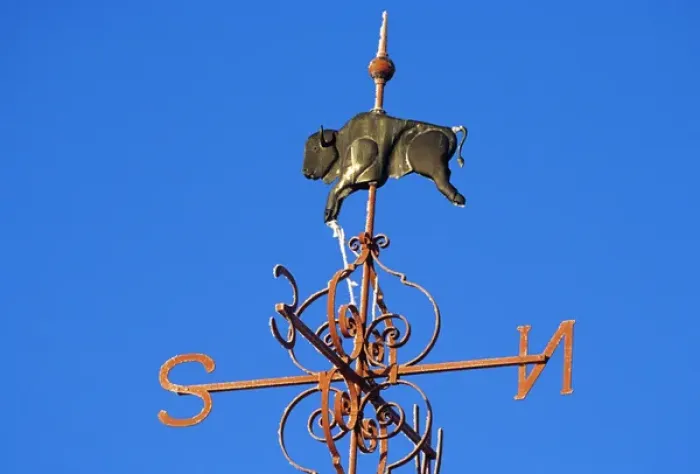 Framed Print : Buffalo Wind Vane at Ft Union in North Dakota Framed Print : Buffalo Wind Vane at Ft Union in North Dakota