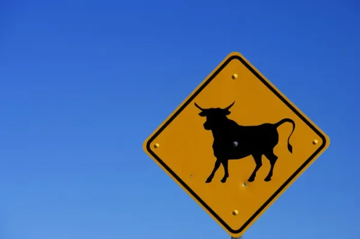 Framed Print : A bull sign on the California Nevada border with a a clear blue sky background