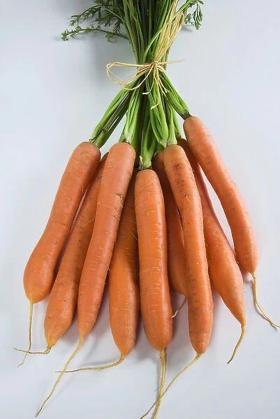 Bunch of Carrots (Daucus Carota)