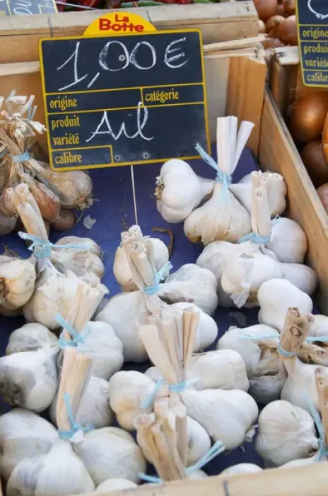 Framed Print : Bunches of garlic, ail, 1 euro for three, for sale at a market stall at the street