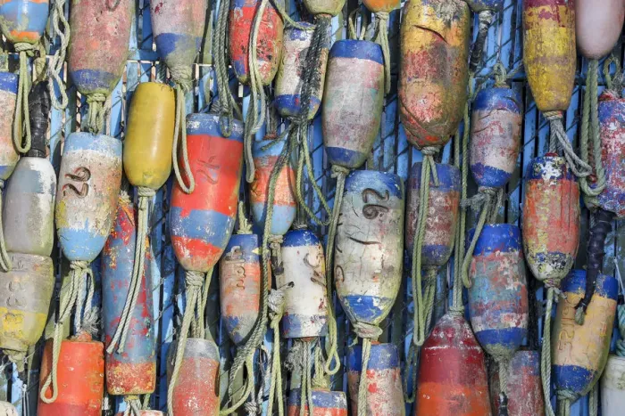 Framed Print : Buoy displayed, Charleston Marina, Oregon