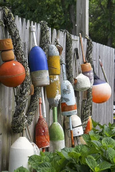 Buoys outside Lucy Js Jewelry and Glass Studio, Eastham, Cape Cod, Massachusetts