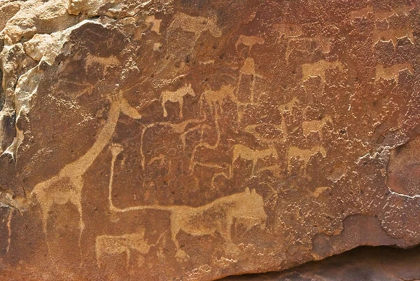 Bushman engravings at Twyfelfontein, UNESCO World Heritage Site. Damaraland, Kuene Region, Namibia