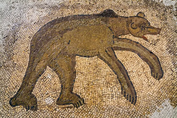 Framed Print : Byzantine bear mosaic, the Theater, Roman ruins of Bulla Regia, Tunisia, North Africa