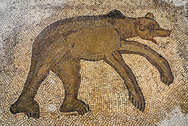 Byzantine bear mosaic, the Theater, Roman ruins of Bulla Regia, Tunisia, North Africa
