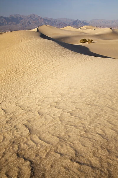 CA, Death Valley NP, Mesquite Flat Sand Dunes
