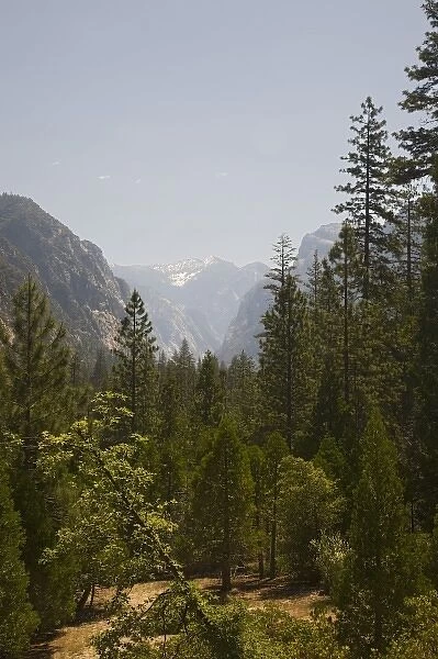 CA, Kings Canyon NP, View of Kings Canyon