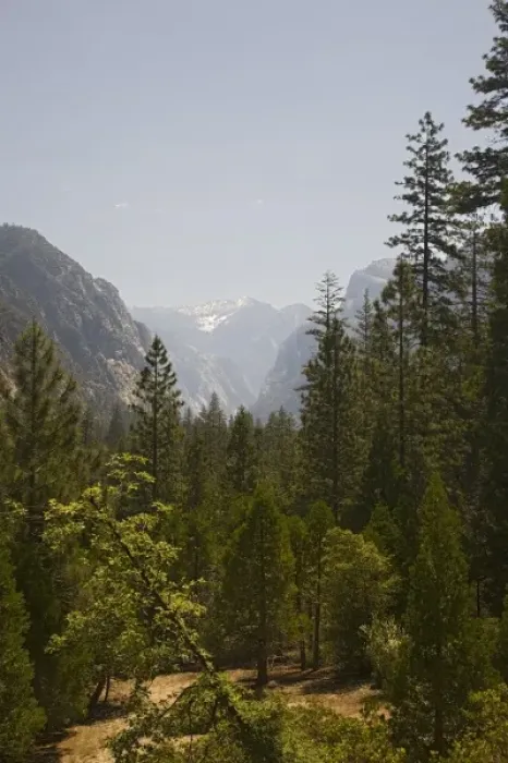 Framed Print : CA, Kings Canyon NP, View of Kings Canyon Framed Print : CA, Kings Canyon NP, View of Kings Canyon