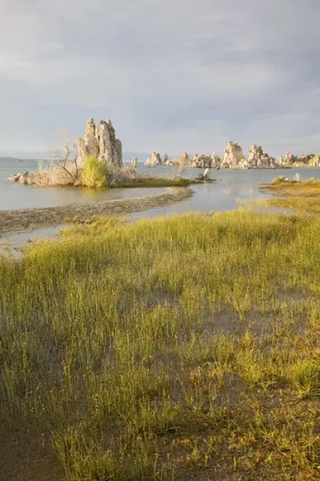 Framed Print : CA, Mono Lake Tufa State Reserve, South Tufa Area, Tufas and Mono Lake Framed Print : CA, Mono Lake Tufa State Reserve, South Tufa Area, Tufas and Mono Lake