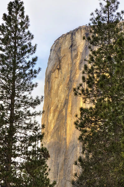 CA, Yosemite NP, El Capitan