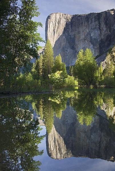 CA, Yosemite NP, El Capitan reflected in Merced River