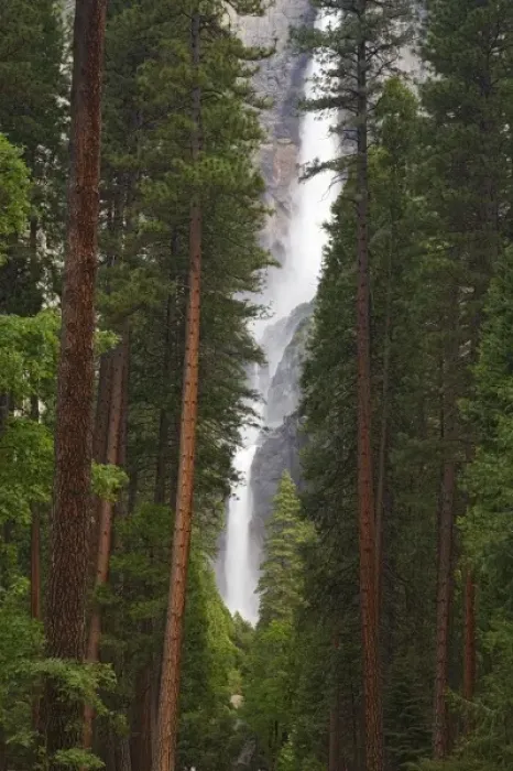 Framed Print : CA, Yosemite NP, Upper and Lower Yosemite Falls