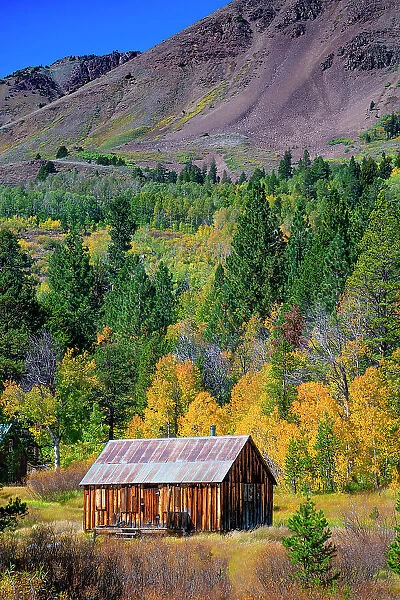 Cabin is in Hope Valley, in the Sierra Nevada, California, USA
