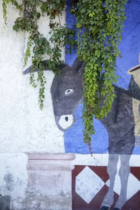 Framed Print : Cabo San Lucas, Mexico. Mural on a wall depicting a donkey (burro)