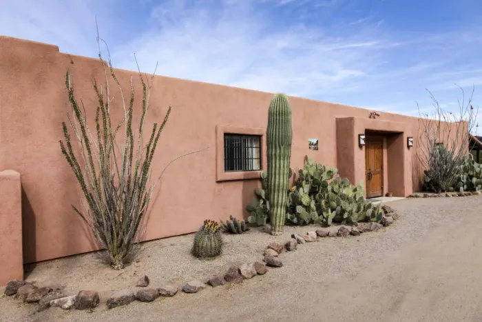 Framed Print : Cactus outside an adobe building, Tucson, Arizona, United States Framed Print : Cactus outside an adobe building, Tucson, Arizona, United States