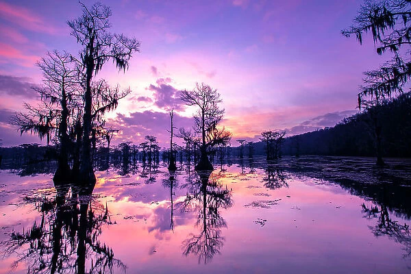 Caddo Lake at sunrise