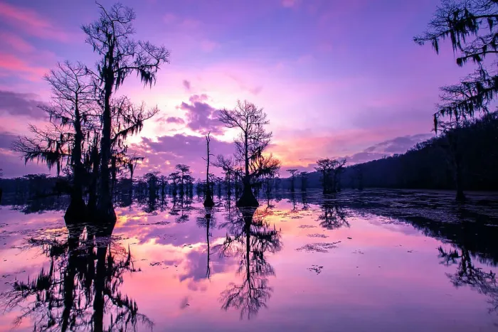 Framed Print : Caddo Lake at sunrise Framed Print : Caddo Lake at sunrise
