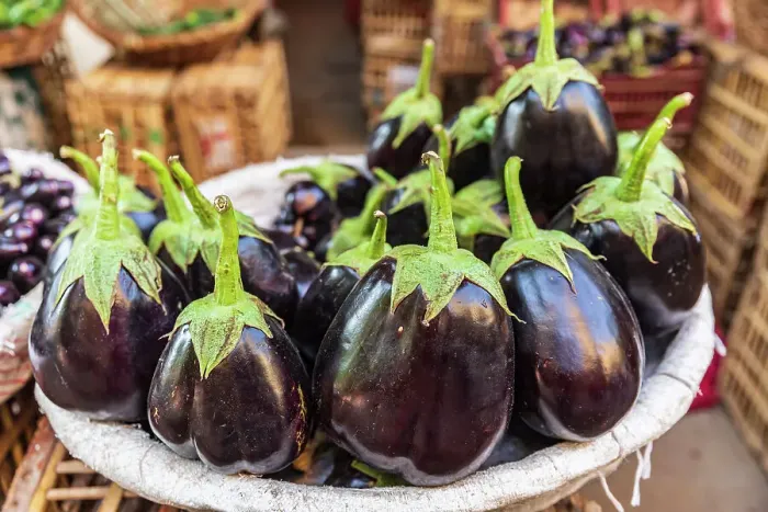 Framed Print : Cairo, Egypt, Africa. Eggplant for sale at an outdoor market