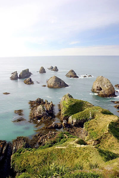 Caitlins, Otago, Nugget Point, New Zealand. Overlooking Nugget Point, this is the