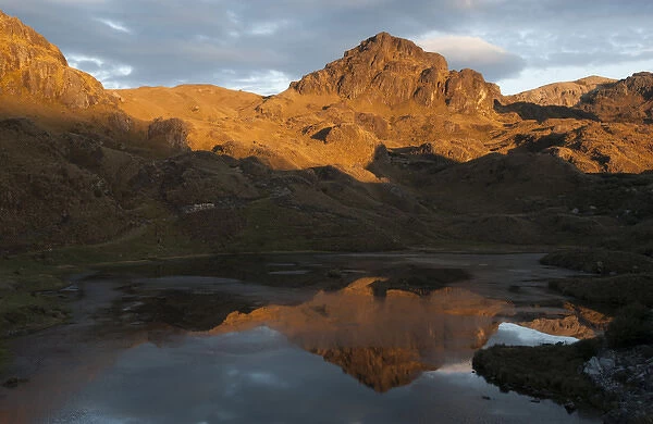 Cajas National Park (3000 - 4, 400m) established in 1996 to protect this High Andean Param fauna