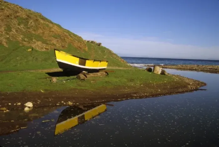 Framed Print : California: Channel Islands, Santa Cruz Island, Scorpion Valley, abandoned yellow boat on shore Framed Print : California: Channel Islands, Santa Cruz Island, Scorpion Valley, abandoned yellow boat on shore