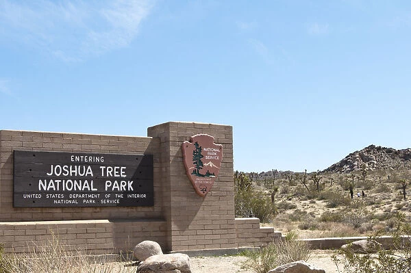 California. Joshua Tree National Park
