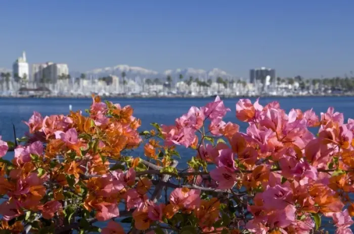 Framed Print : California, Long Beach. Skyline views of the port area of Long Beach. Snow-capped Framed Print : California, Long Beach. Skyline views of the port area of Long Beach. Snow-capped