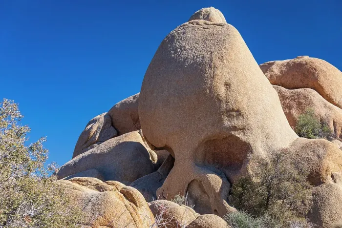 Framed Print : California, USA. Skull Rock in Joshua Tree National Park Framed Print : California, USA. Skull Rock in Joshua Tree National Park