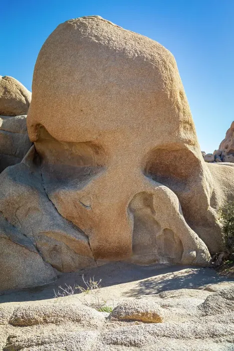 Framed Print : California, USA. Skull Rock in Joshua Tree National Park Framed Print : California, USA. Skull Rock in Joshua Tree National Park