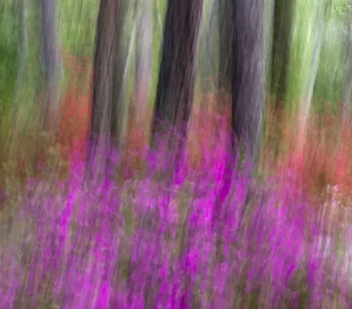 Framed Print : Callaway Gardens, Georgia