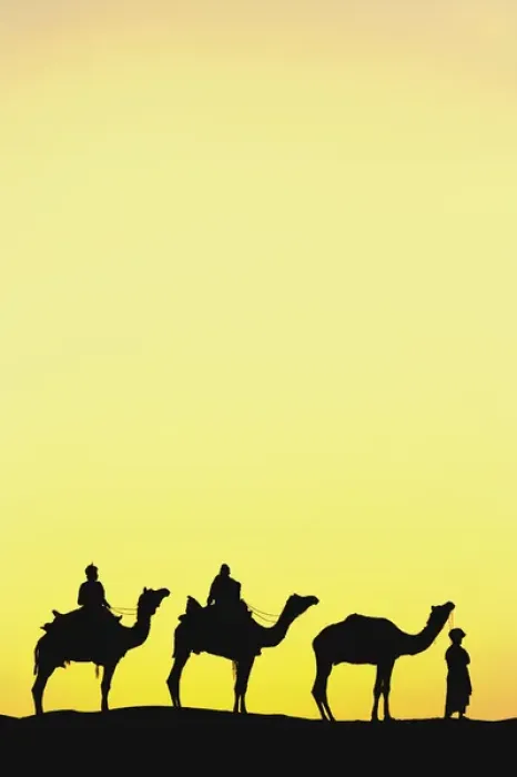 Framed Print : Camels and camel driver silhouetted at sunset, Thar Desert, Jodhpur, India Framed Print : Camels and camel driver silhouetted at sunset, Thar Desert, Jodhpur, India
