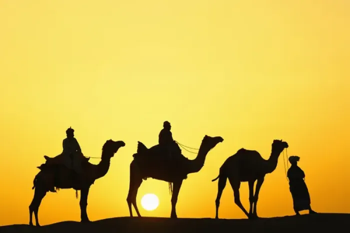 Framed Print : Camels and camel driver silhouetted at sunset, Thar Desert, Jodhpur, India