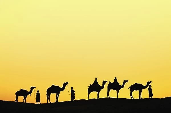 Camels and camel driver silhouetted at sunset, Thar Desert, Udaipur, India