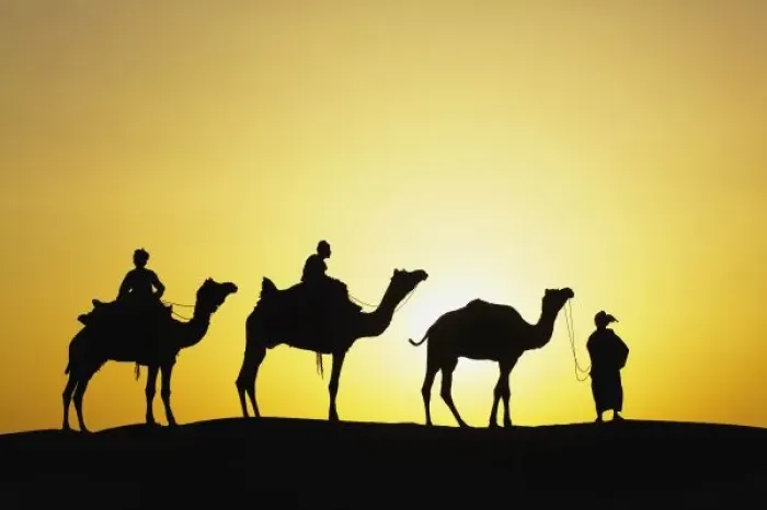 Framed Print : Camels and camel driver silhouetted at sunset, Thar Desert, Udaipur, India Framed Print : Camels and camel driver silhouetted at sunset, Thar Desert, Udaipur, India