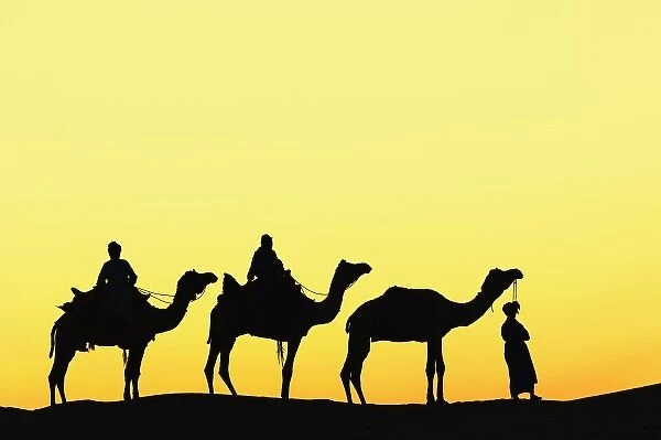 Camels and camel driver silhouetted at sunset, Thar Desert, Jodhpur, India