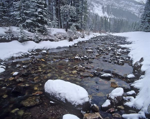 Cameron Creek in winter in Waterton Lakes National Park in Alberta, Canada